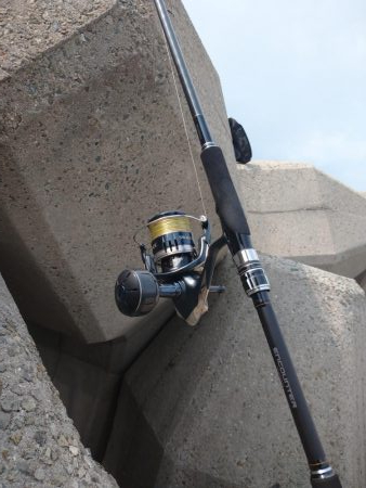 ライトショアジギング