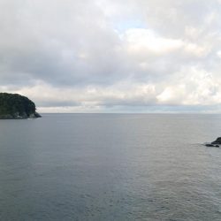 今シーズン初アオリイカ