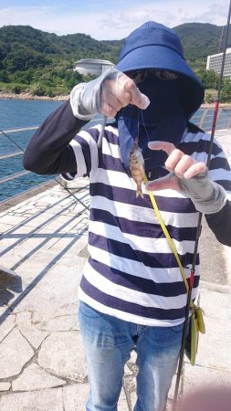 のませでメジロ