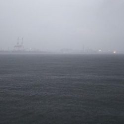 今年初タチウオ