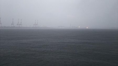 今年初タチウオ