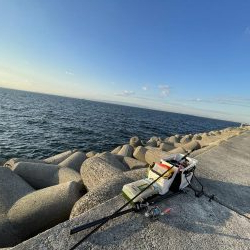 リベンジタチウオ