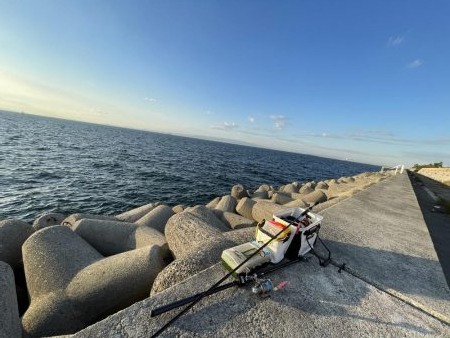 リベンジタチウオ