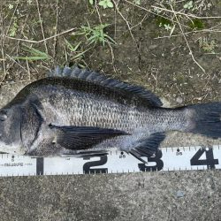 イチノ兄弟、釣果!