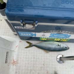 真夏のマイボート