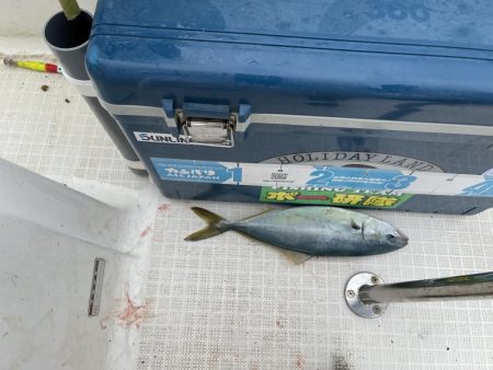 真夏のマイボート