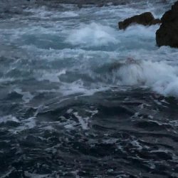 2021佐渡ヶ島 エギング 7回目