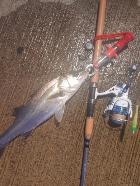 シーバス45cm  風が強い中なんとか1本