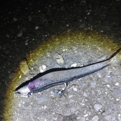 ニゴイをなんとか上げました