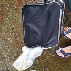 どしゃ降りショアジギング