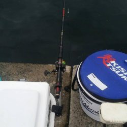 くろねこ流紀州釣りに挑戦！！