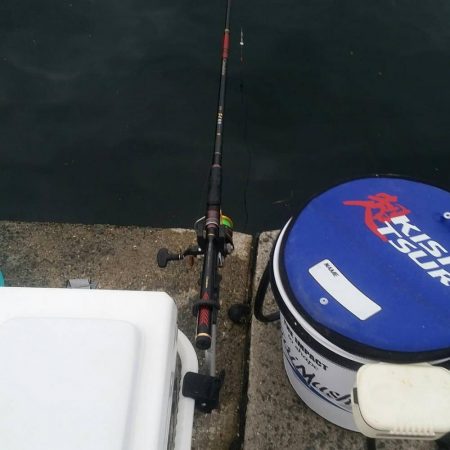 くろねこ流紀州釣りに挑戦！！