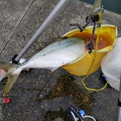 今回はダイソージグで