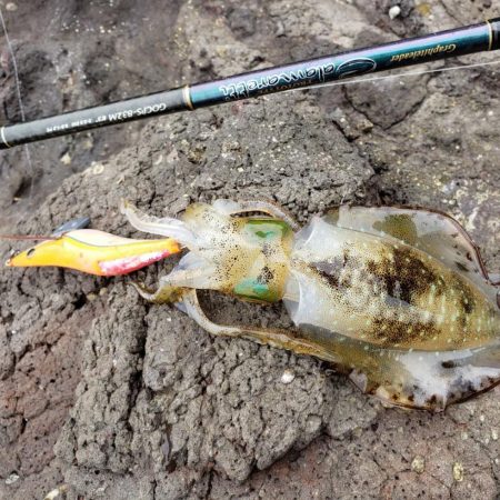 なかなか活性低いです