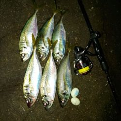 フロートゲーム～