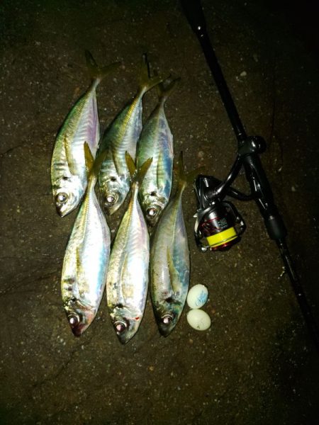 フロートゲーム～