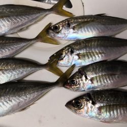 潮攻略！！？？