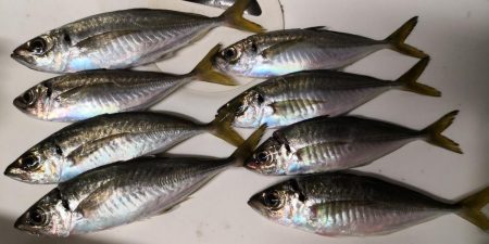 潮攻略！！？？