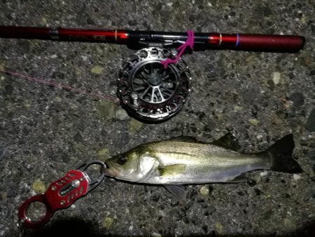 2021/09/29 南港ヘチ釣り 根魚狙い