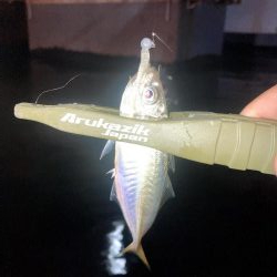 軽量ジグヘッドの着底の取り方