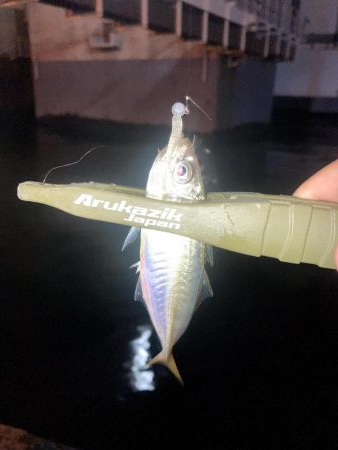 軽量ジグヘッドの着底の取り方