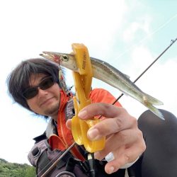 A.P.Pフィッシングガイドサービス　ポイントチェックにてカマスのRIDE　ONパレードとなる！