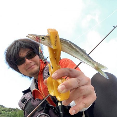 A.P.Pフィッシングガイドサービス　ポイントチェックにてカマスのRIDE　ONパレードとなる！