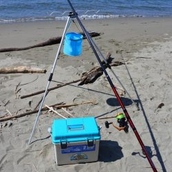 落ちギス 時期尚早