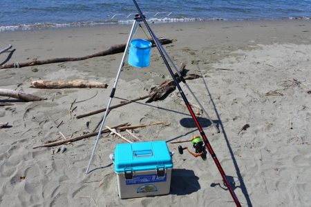 落ちギス 時期尚早