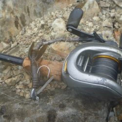 雨の降り初めに