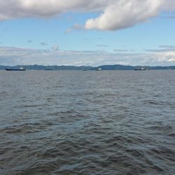 久々のウェーディング！