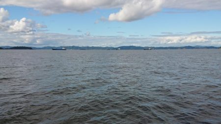 久々のウェーディング！