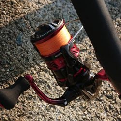 スクスク成長中