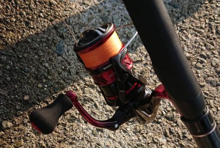 スクスク成長中