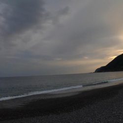 アジの半夜釣り