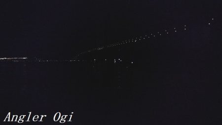 ケンサキイカエギング！