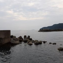 今年初エギング