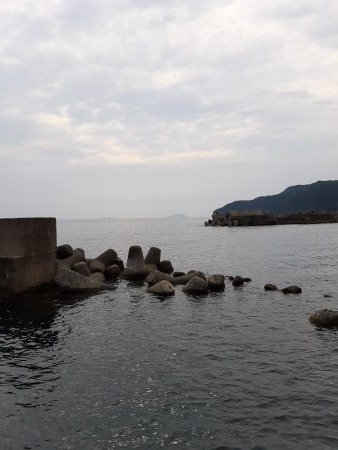 今年初エギング