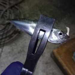 ONOKOROはサバ地獄