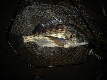 透明度は高いが