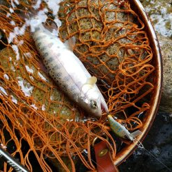 メテオーラ52の日でした。