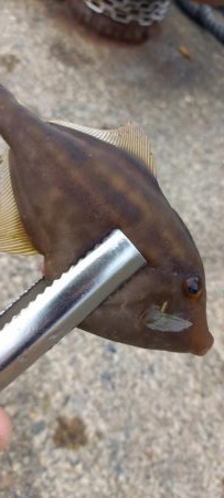 学生時代の仲間と