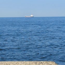 プチsalt water game