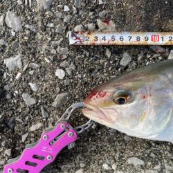 やっぱり熱い中泊!