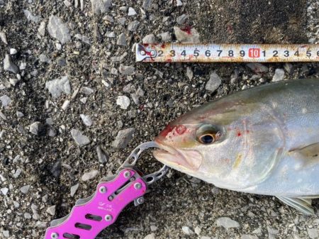 やっぱり熱い中泊!