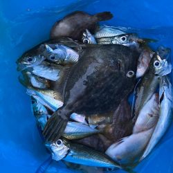 ファミリーフィッシング