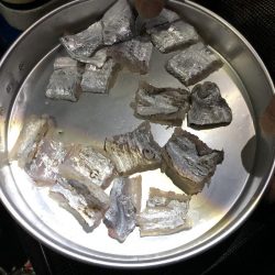 はじめての太刀魚