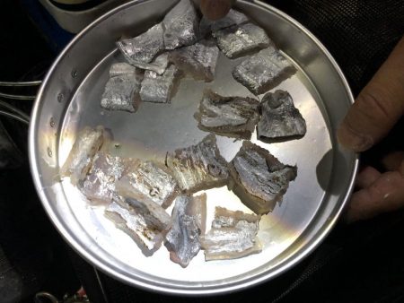 はじめての太刀魚