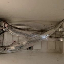 令和3年度 開幕