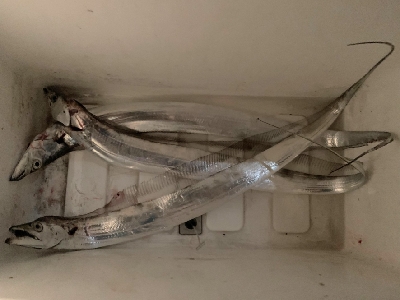 令和3年度 開幕